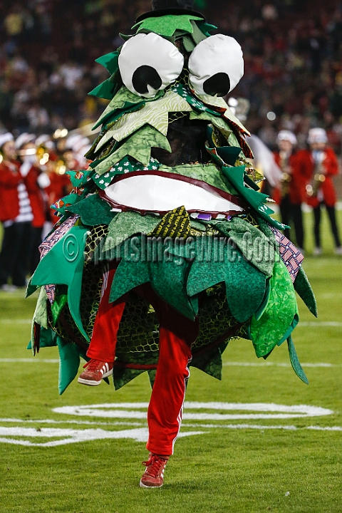 2013-Stanford-Oregon-012.JPG - Nov. 7, 2013; Stanford, CA, USA; Stanford Cardinal band mascot, The Tree, prior to game against the Oregon Ducks at Stanford Stadium. Stanford defeated Oregon 26-20.